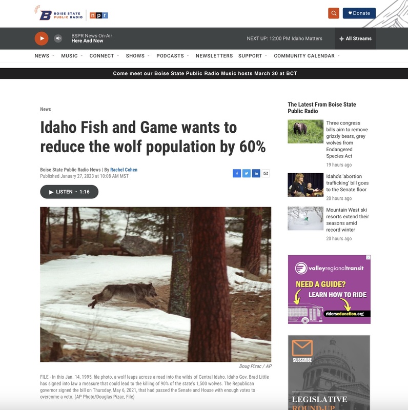 Idaho Fish and Game Wants to Reduce the Wolf Population by 60%
