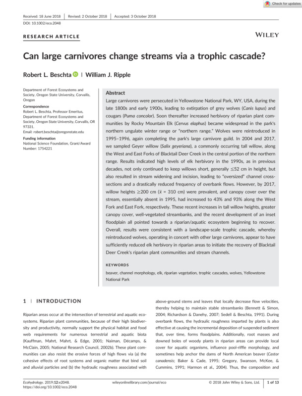 Can Large Carnivores Change Streams via a Trophic Cascade?
