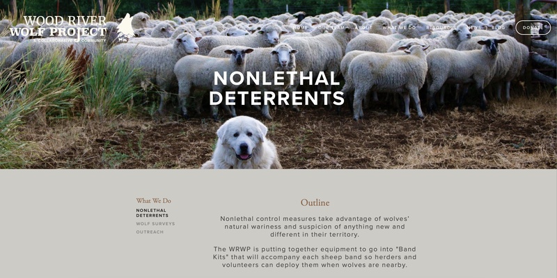 Nonlethal Deterrents