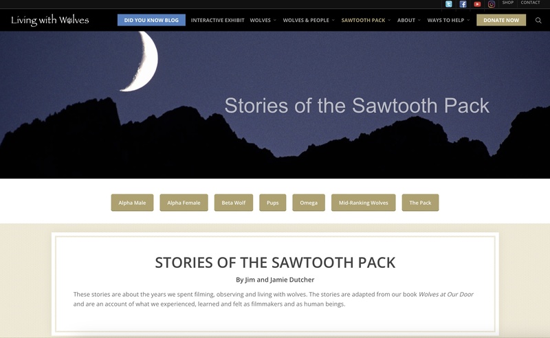 Sawtooth Pack Stories