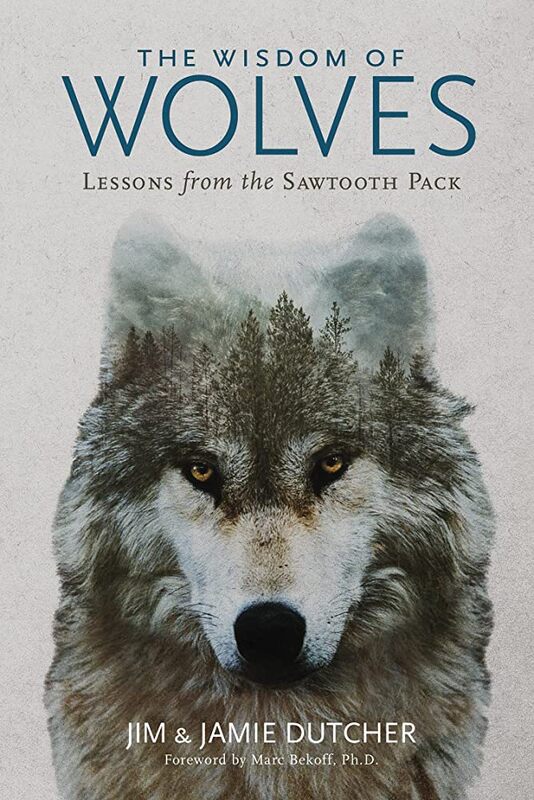 item thumbnail for The Wisdom of Wolves: Lessons from the Sawtooth Pack