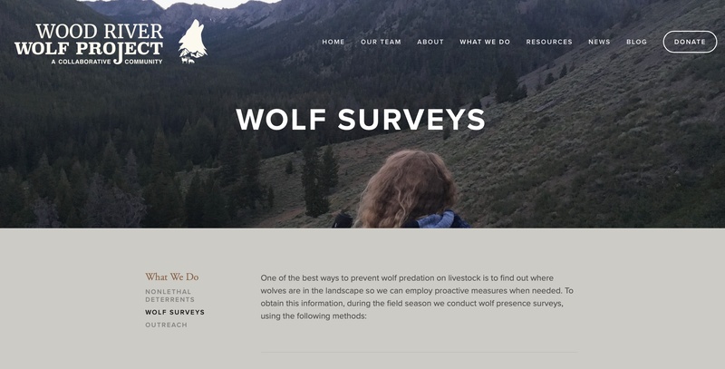 Wolf Surveys