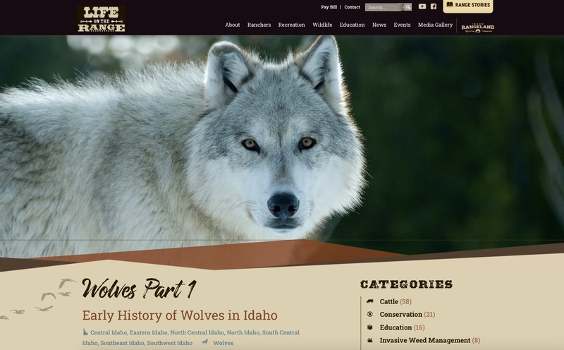 Wolves Part 1 Early History of Wolves in Idaho