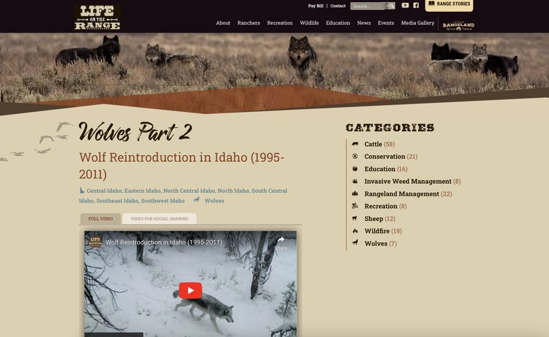 Wolves Part 2 Wolf Reintroduction in Idaho (1995-2011)